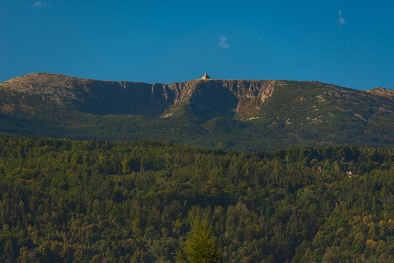 Widok 1 *